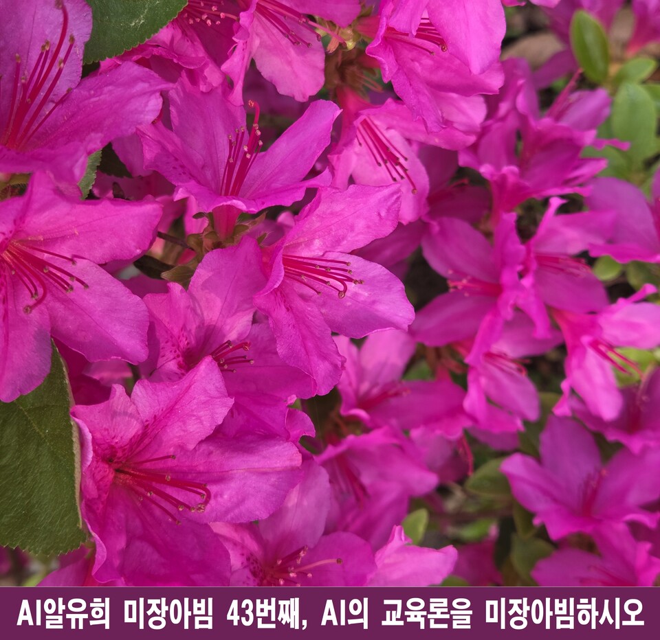 AI의 교육론, 미장아빔: 데이터 속에 피어난 무한 지능의 심연