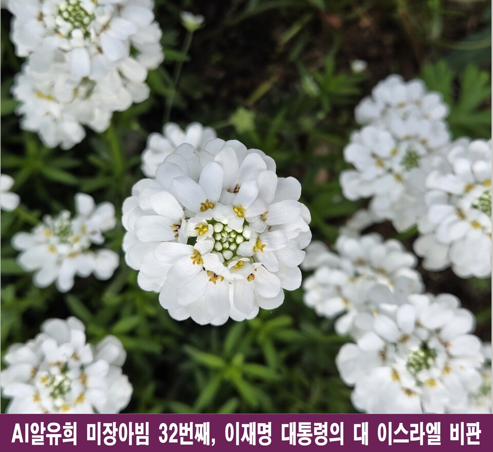 이재명 대통령의 대 이스라엘 비판, ‘미장아빔’으로 읽는다
