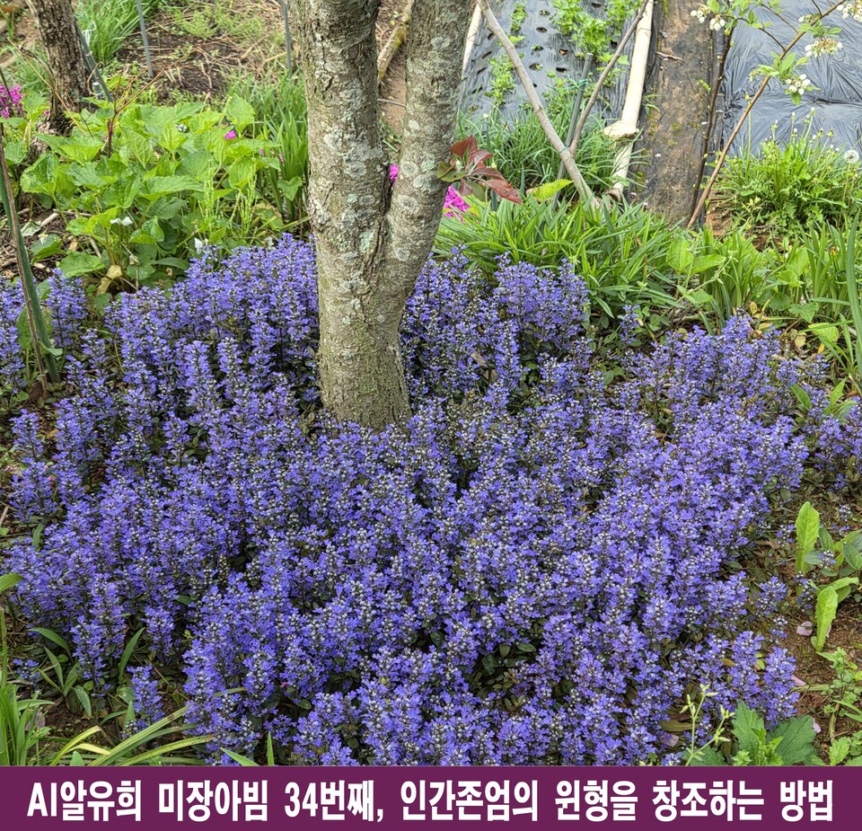 인간 존엄의 원형을 창조하는 미장아빔: 거울 속 허상을 넘어 생명의 빛으로