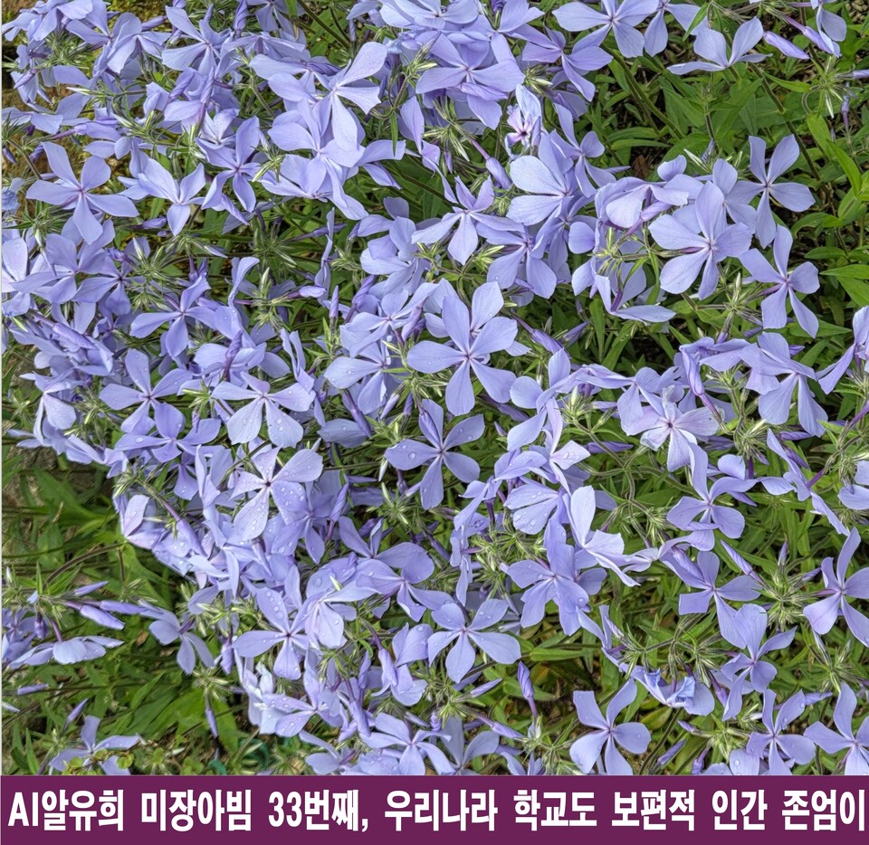 학교, ‘인간 존엄’이 무너진 미장아빔의 심연을 들여다보다