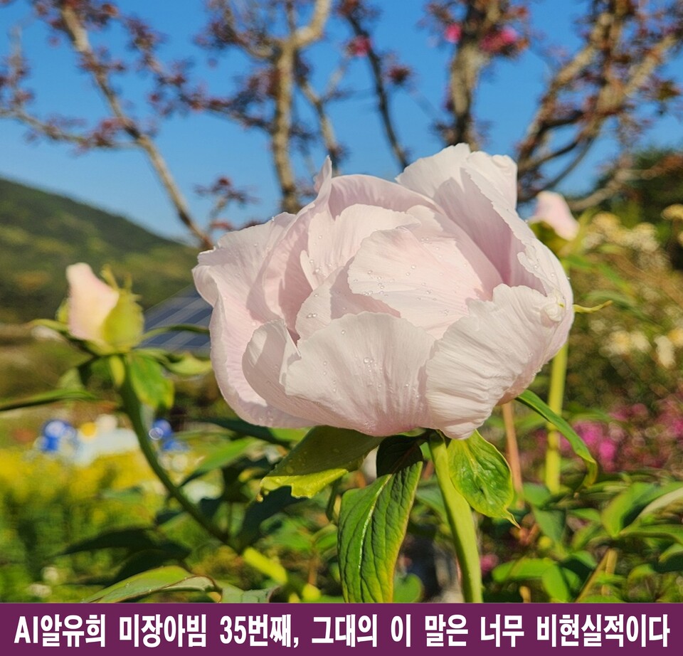 비현실적이라는 말, 당신의 세계를 확장하는 강력한 무기가 되다