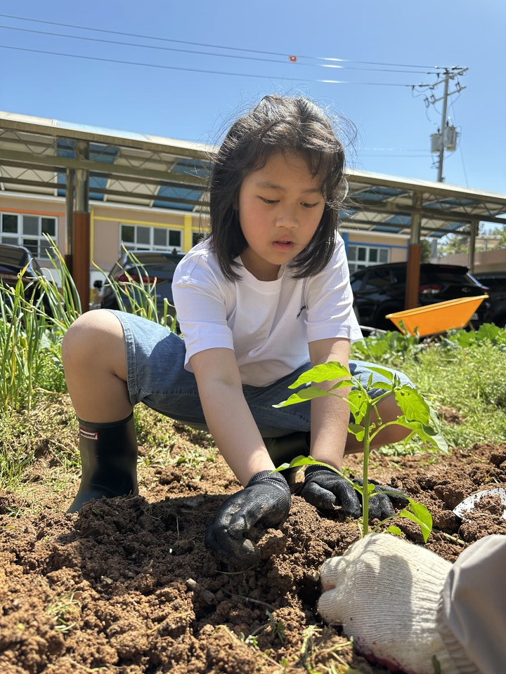 신전초, ‘2030 신전애 ON ECO-nomy’로 생태·경제 융합교육 실시