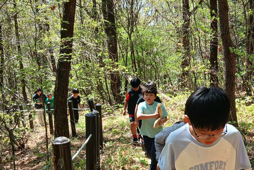 지도 없는 산길도 문제없다! 칠량초 ‘공생의 길’ 호암봉 탐방