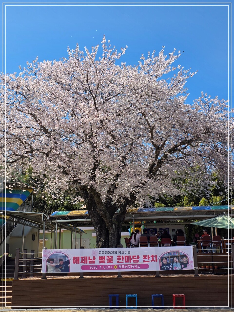해제남초, 벚꽃 아래 교육공동체와 함께하는 즐거운 한마당 잔치