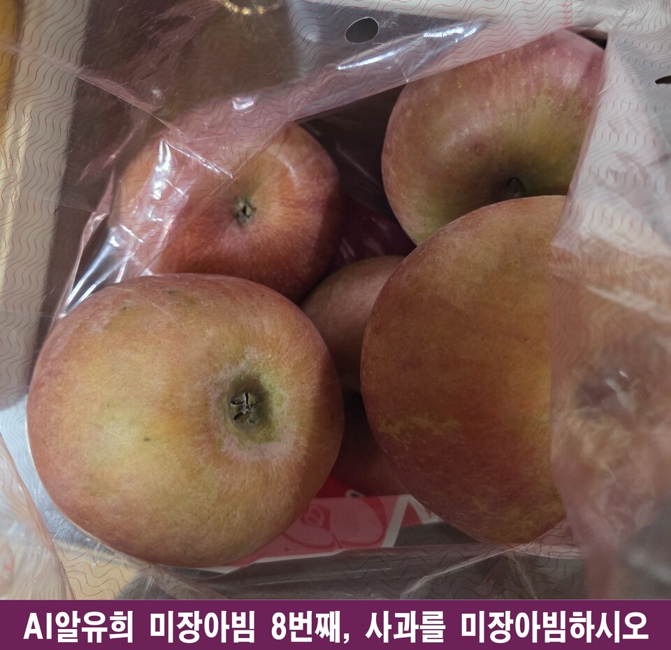 ‘사과’라는 무한한 거울, 우주와 인류 역사를 품은 미장아빔