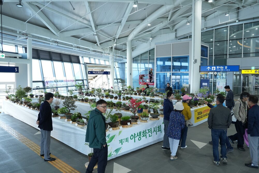 나주역 야생화로 ‘도심 속 힐링’, 제7회 전시회 성황리 마무리