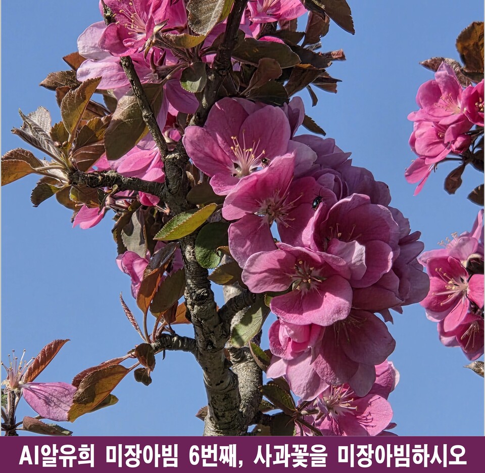 사과꽃의 무한 거울, 생명을 복제하는 미장아빔의 미학