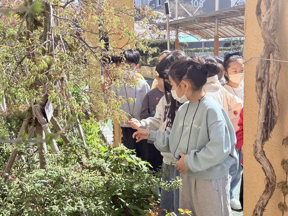 목포한빛초, 숲속에서 배우는 생태전환교육…어린이들 자연과 벗되다