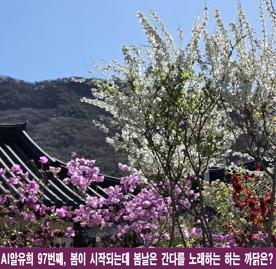 봄이 시작된데 왜 '봄날은 간다'인가, AI알유희가 분석한 미학
