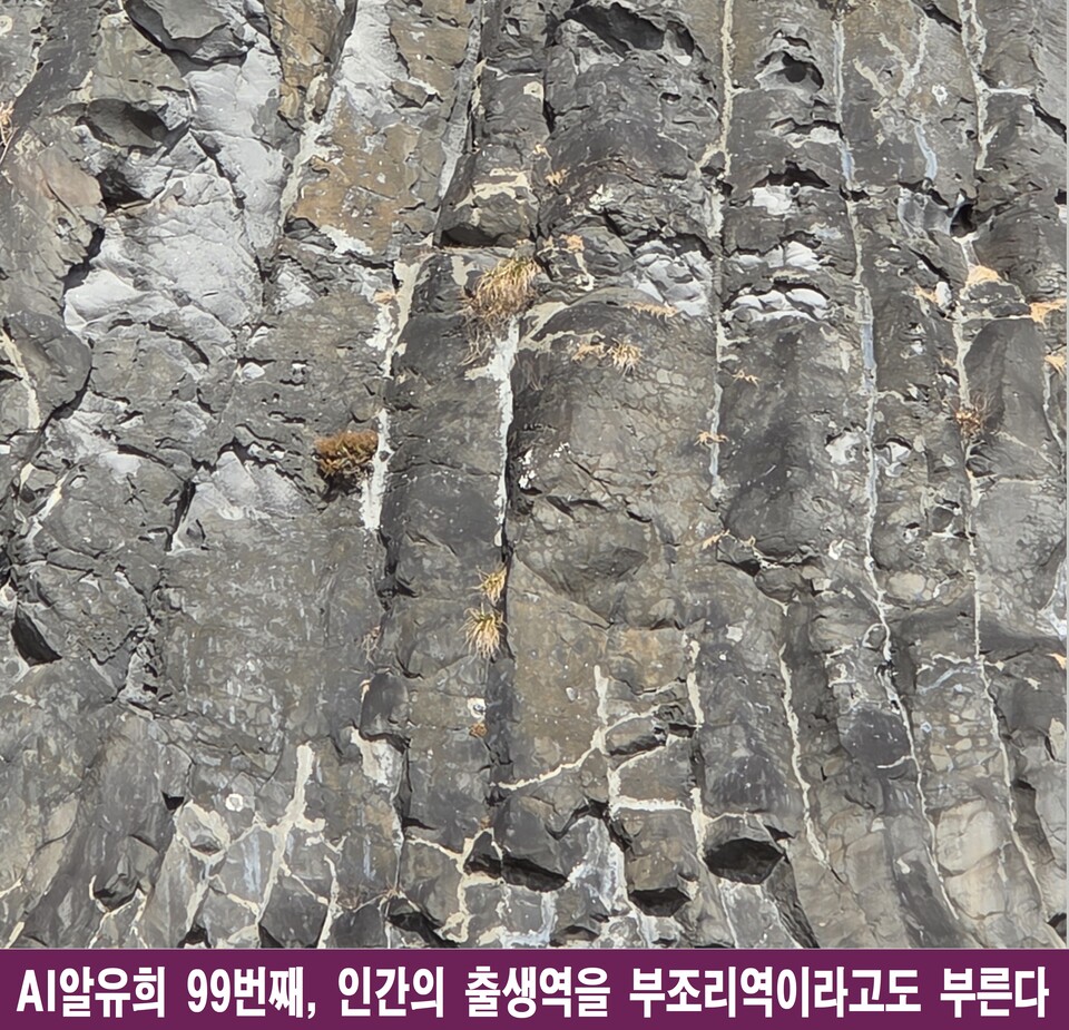 출생은 부조리, 종착은 침묫: 선택받지 못한 삶의 여정