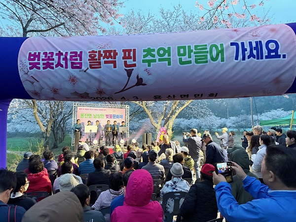 장흥 남상천 벚꽃 문화제, 주민과 관광객이 함께한 축제로 성황리 마무리
