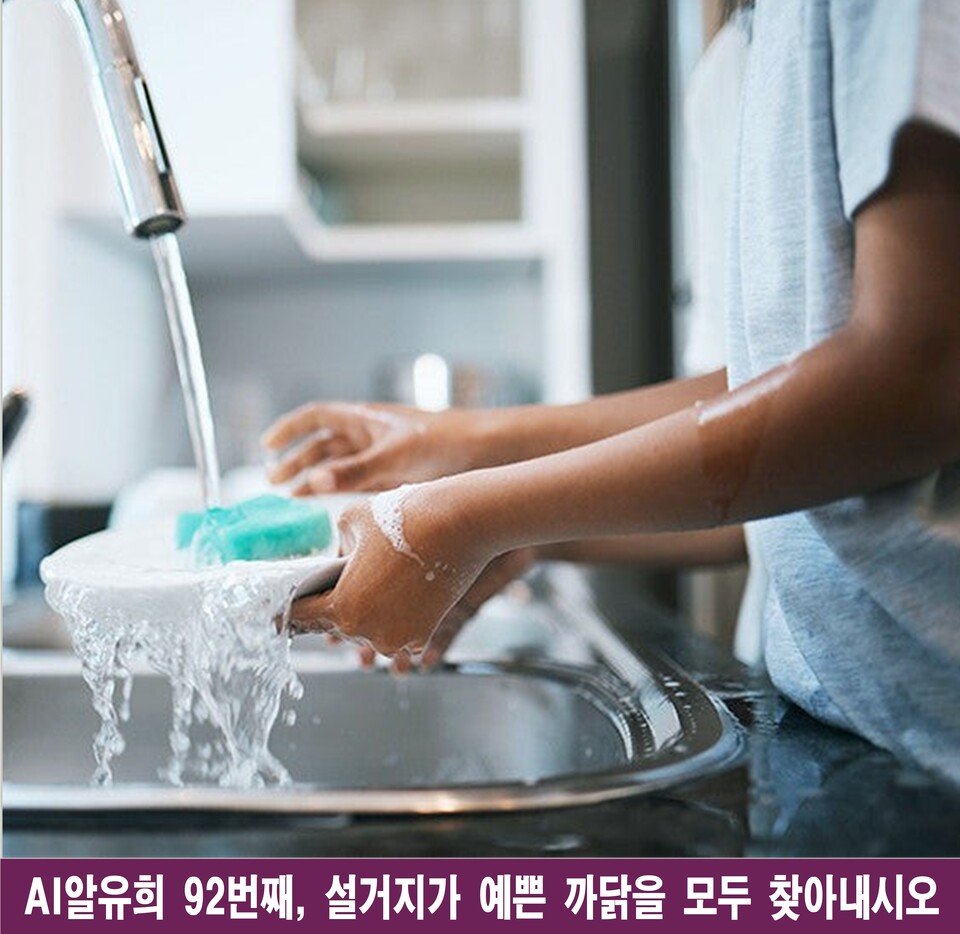 설거지가 예쁜 까닭: 일상 속에 숨겨진 존재의 아름다움을 찾아서