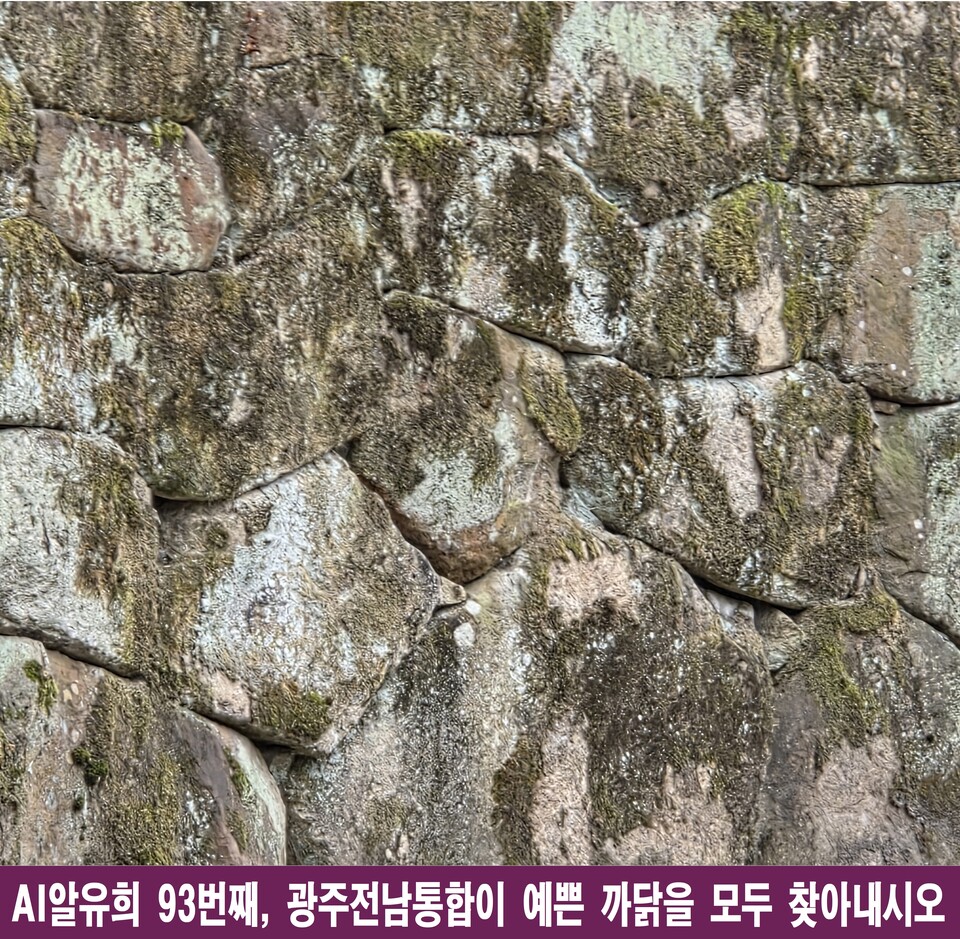 광주·전남 통합이 ‘예쁜’ 까닭 7가지, 경쟁 넘어 하나의 향기로