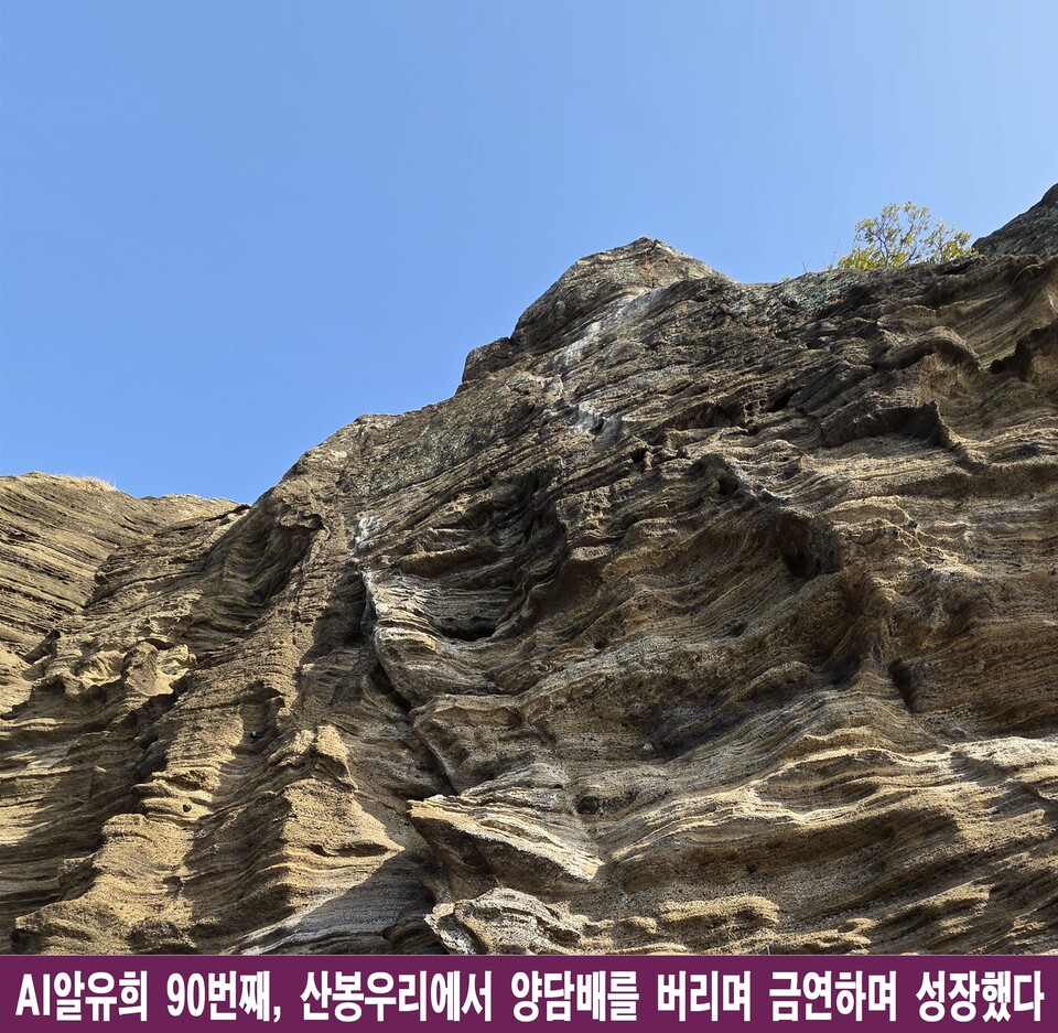 AI가 흉내 못 낸 인간의 창의력, 언어유희 속에 숨겨진 삶의 의미