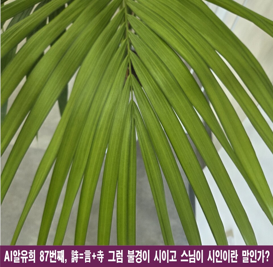 시(詩)=言+寺, 불경은 시이고 스님은 시인인가?
