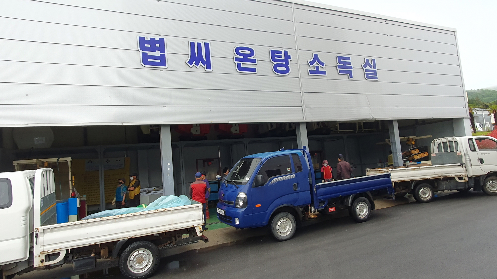 진도군, 친환경 벼 재배 지원…온탕소독장 3개소 운영