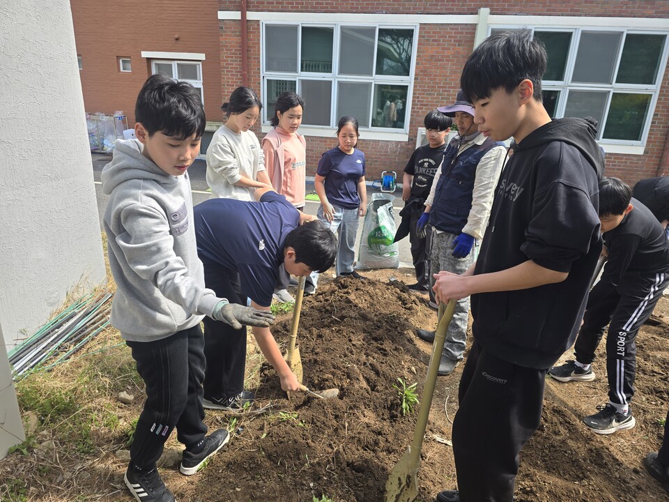 죽곡초, 2026학년도 생태텃밭정원 가동…감자·토란 심으며 생태감수성 키운다