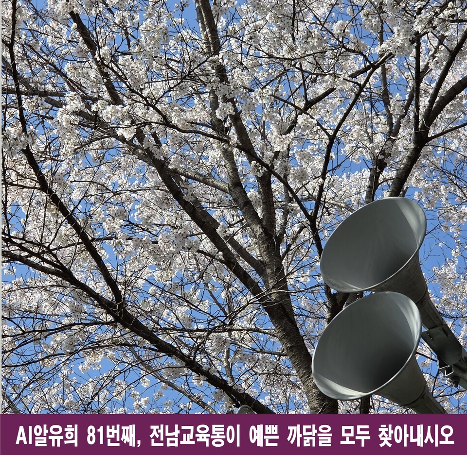 전남교육통이 '예쁜' 진짜 이유, 10가지 가치로 분석하다
