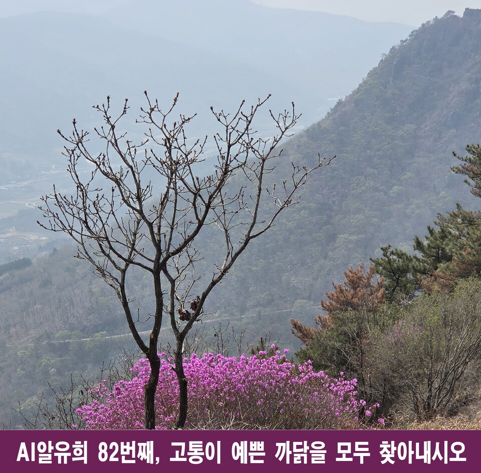 고통이 예쁜 까닭은? 인간 존재의 깊이와 성찰의 아름다움