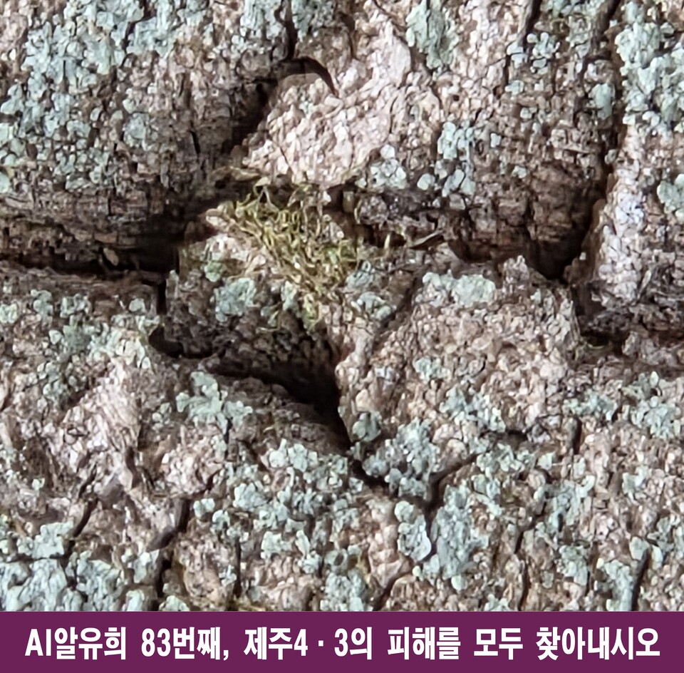 인간 존엄을 무너뜨린 10가지 비극, 제주4·3의 아픔을 기억하다