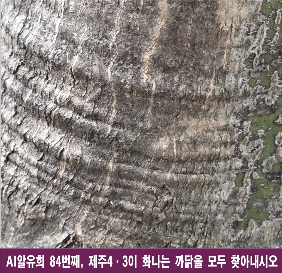 제주 4.3, 왜 화가 나는가? 억울한 역사가 남긴 6가지 깨달음
