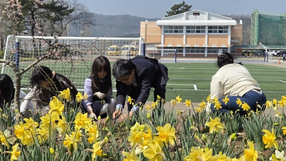 진도 의신초, 마을과 함께 봄꽃 심으며 '생태 감수성' 키워