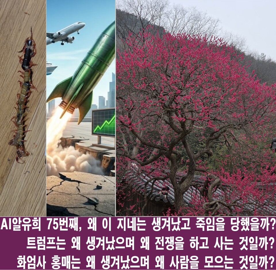 지네의 죽음과 트럼프, 그리고 화엄사 홍매가 던지는 물음