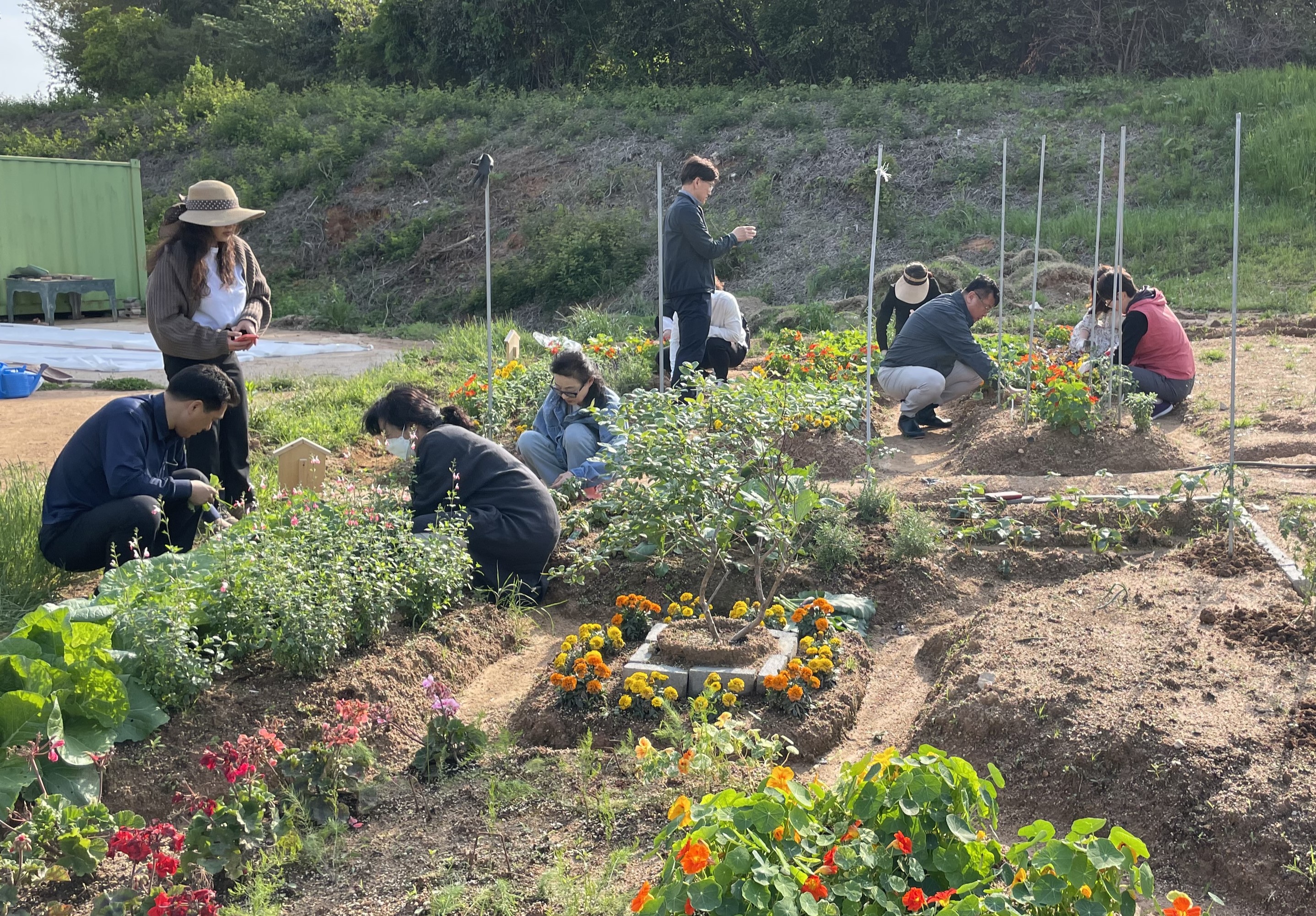 광주시, 도시농업 전문가 양성…국가자격증 취득 기회