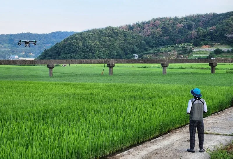 순천시, 이상기화 대응 벼 병해충 공동방제 본격 돌입