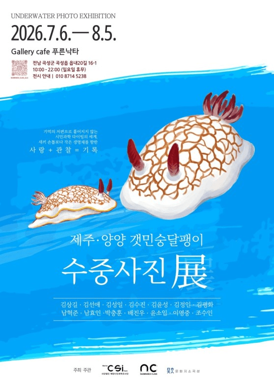 곡성으로 떠나는 ‘바다의 보석’…시민과 함께한 갯민숭달팽이의 기록 - 환경 | 코리아NEWS