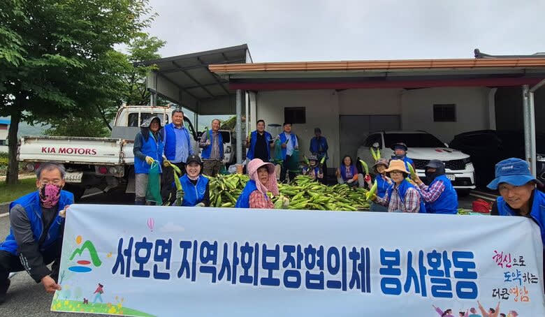 영암 서호면지사협, ‘복지 옥수수’ 전량 판매…취약계층 돕기 속속 - 복지 | 코리아NEWS