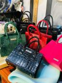 ELARA BAGS 1