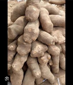 Fresh Agricultural produce