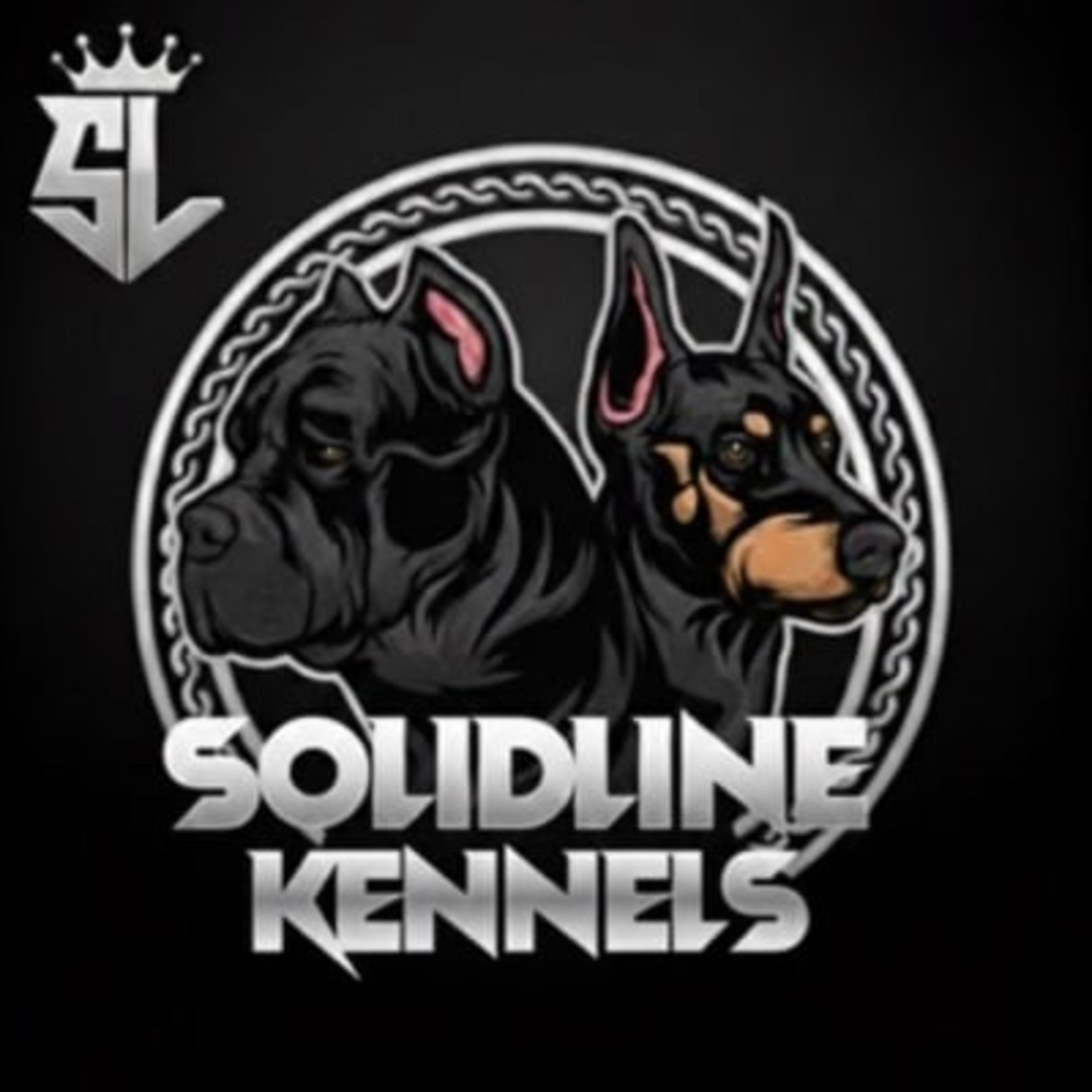 Solidline Kennels