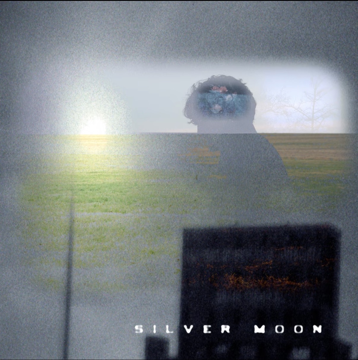 Silver Moon