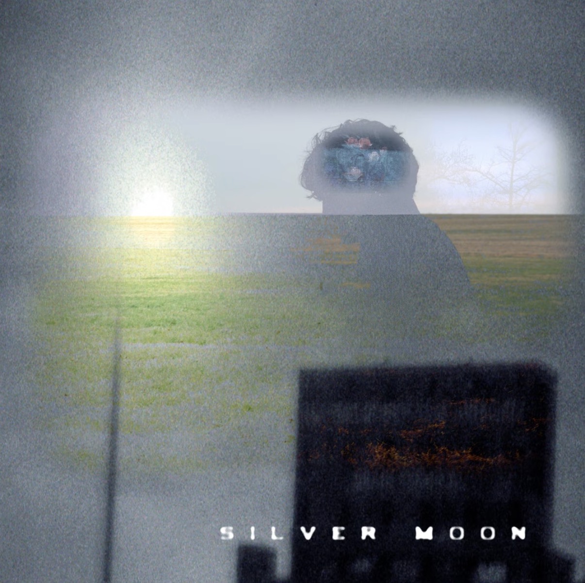 Silver Moon