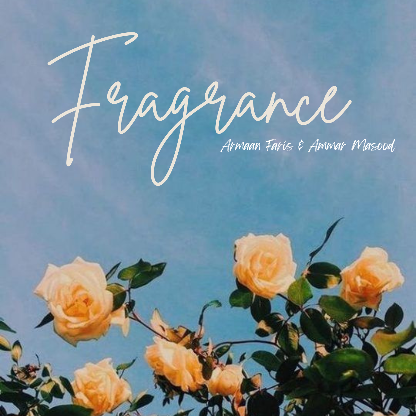 Fragrance