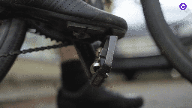 Zenride x Pas-à-Pas