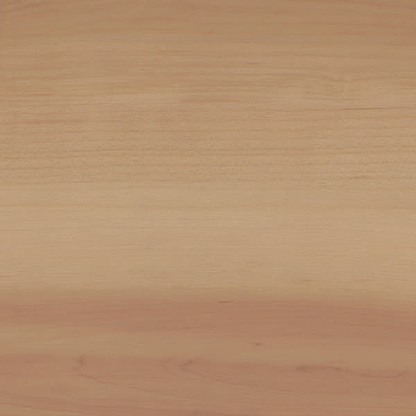 Spotted Gum 24161