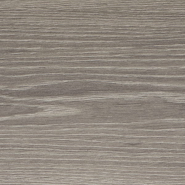 Silver Birch 24181