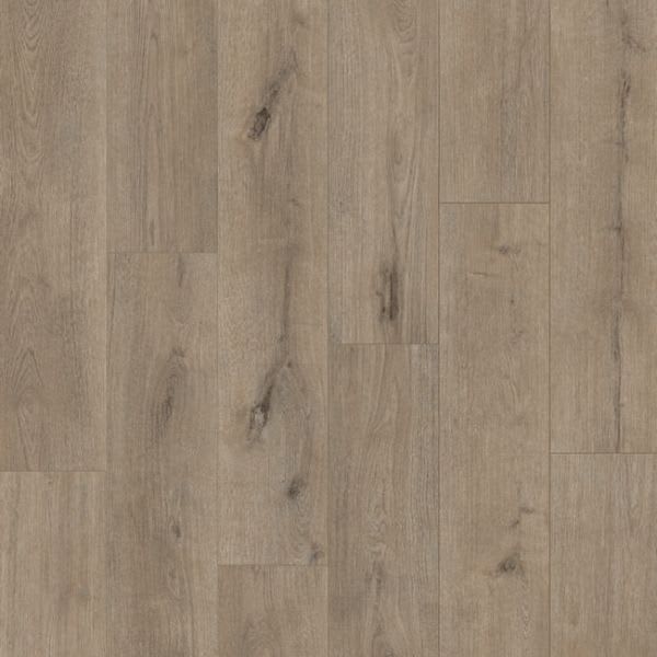 Grey Scottish Oak