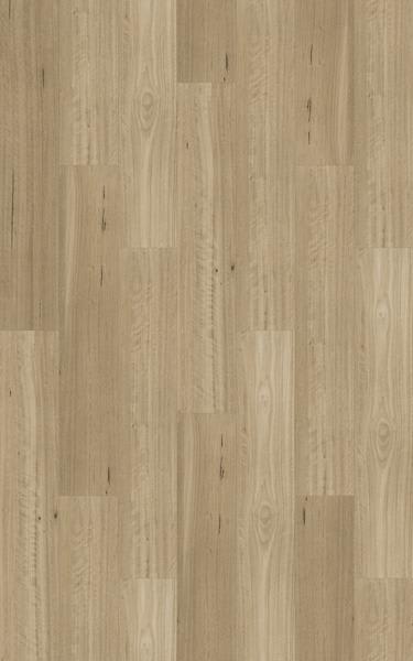 NATURAL CREATIONS LONGPLANKLEMON SCENTED GUM
