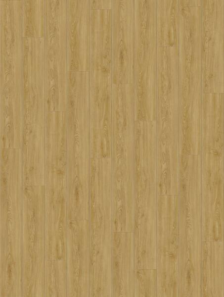 NATURAL CREATIONS ARBORART 2.5X184X1219NORTHERN OAK
