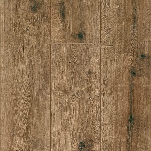 Ginger Oak