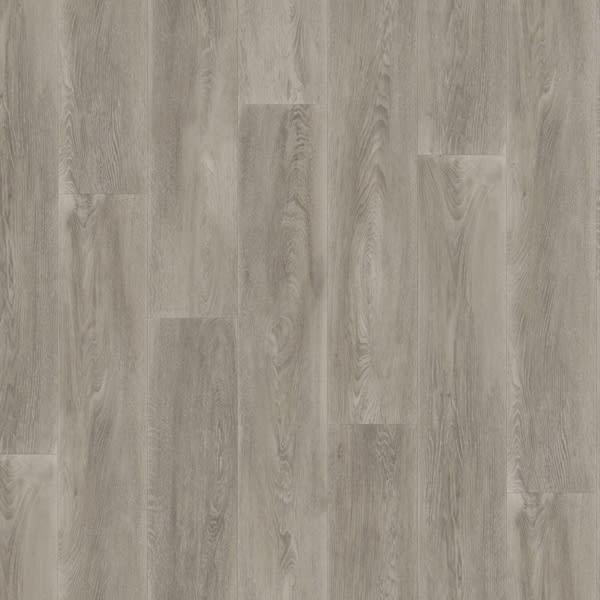Canopy Sesame