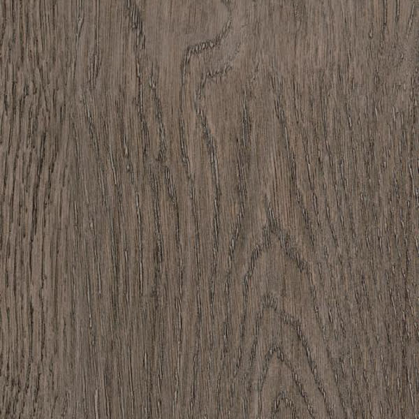 Dutch Oak SF3W2778