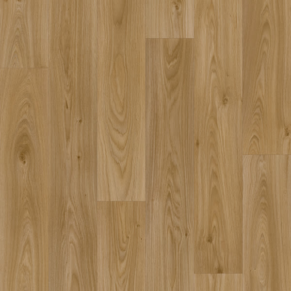 Gambel Oak 212M