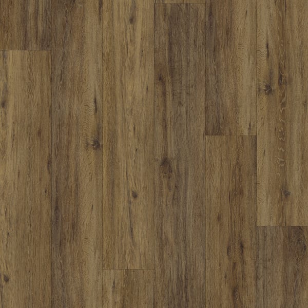 Genesis Palmetto