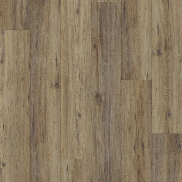 Genesis Sequoia
