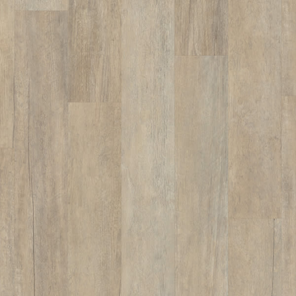 Coastline Oak KP147-7